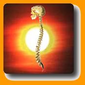 Physiotherapie Para Aleksander Dr