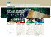 Website von American Austria Foundation AAF