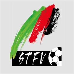 Steirischer Fußballverband (StFV)