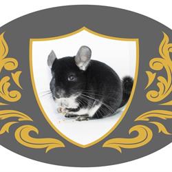 Chinchilla-Paradise-Shop Walter Mangelberger