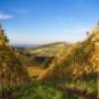 Südsteirische Weinstrasse