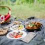Picknick im Weingarten buchen!
