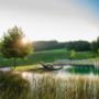 Naturpool mit Weingartenblick - Morgenstimmung Naturpool mit Weingartenblick - Morgenstimmung