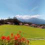 Bergwelt - Natur genießen - Hotel Olympia Tirol - Mösern/Seefeld Bergwelt - Natur genießen - Hotel Olympia Tirol - Mösern/Seefeld