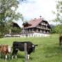 Feldlhof - Urlaub am Bauernhof Ramsau am Dachstein