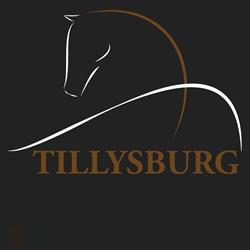 Pferdeklinik Tillysburg Dr Clemens Mahringer & Dr Christian Franz