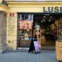 Shopfront Lush Innsbruck in der Maria-Theresien-Straße 34 in Innsbruck Shopfront Lush Innsbruck in der Maria-Theresien-Straße 34 in Innsbruck