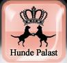 Hunde Palast M. Hauger e.U.