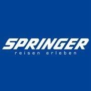 Springer Leoben