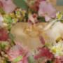 Blumen Ruprecht KG  8200 Gleisdorf