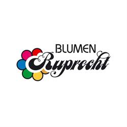 Blumen Ruprecht