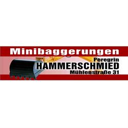 Minibaggerungen Hammerschmied