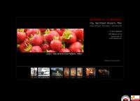 Website von Ing.  Msc Bernhard Wunsch - Wunsch Planung