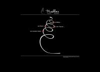 Website von Norbert Thaller