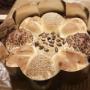 Brot in unserer Rosette