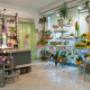 Blumenstudio Bauer in 4020 Linz