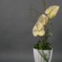 Blumenstudio Bauer in 4020 Linz