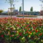 Blumen Peter & Gerti Schuster Blumen Peter & Gerti Schuster