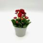 Blumen Peter & Gerti Schuster Blumen Peter & Gerti Schuster