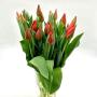 Blumen Peter & Gerti Schuster Blumen Peter & Gerti Schuster