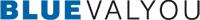 bluevalyou Gesellschaft m.b.H.