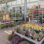 OBI Gartencenter Mattersburg OBI Gartencenter Mattersburg