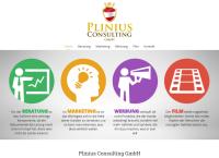 Plinius Consulting GmbH