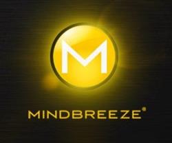 Mindbreeze Software GmbH