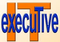 IT-Executive Edv Consulting, Dienstleistung & Handel e.U.