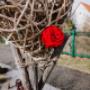 Trinkl – Gärtnerei und Floristik aus Meisterhand Trinkl – Gärtnerei und Floristik aus Meisterhand