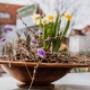 Trinkl – Gärtnerei und Floristik aus Meisterhand Trinkl – Gärtnerei und Floristik aus Meisterhand