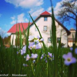 Bauernhof Moosbauer Inh Brigitte u Georg Mandl