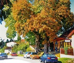 Gasthaus z Auge Gottes