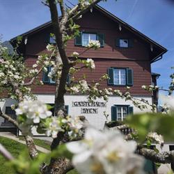 Gästehaus Syen