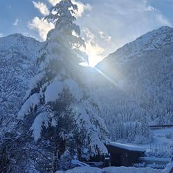 Pension Alpengruß