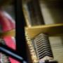 Moser Rudolf Meisterbetrieb - Pianos KG