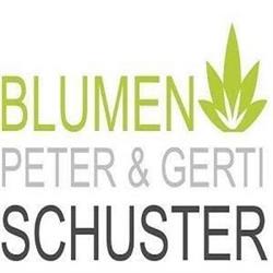 Schuster Peter