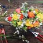 Blumen Anna Zoubek - Unsere Blumen Blumen Anna Zoubek - Unsere Blumen