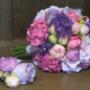 Blumen Anna Zoubek - Unsere Blumen Blumen Anna Zoubek - Unsere Blumen