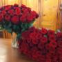 Blumen Anna Zoubek - Unsere Blumen Blumen Anna Zoubek - Unsere Blumen