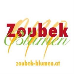 Zoubek Blumen
