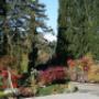 Baumschule Ledolter in Graz - Blumen