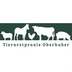 Tierarztpraxis Oberhuber Clemens Mag.med.vet.