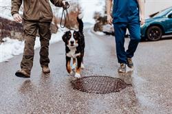 Tierarztpraxis Strudengau – Dr. Georg Haimel OG