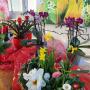 Landwirtschaftlicher Blumenbau Astrid Gerstl Landwirtschaftlicher Blumenbau Astrid Gerstl