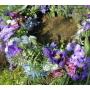 Blumen Akzente Rebecca Domig 6719 Blumen Akzente Rebecca Domig 6719