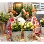 Blumen Akzente Rebecca Domig 6719 Blumen Akzente Rebecca Domig 6719