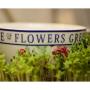 Blumen Akzente Rebecca Domig 6719 Blumen Akzente Rebecca Domig 6719