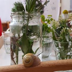 Kindergruppe - Wohnen Mit Kindern Womiki