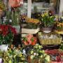 Blumen am Platzl Andrea Ferian